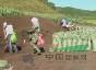 草炭土(泥炭土)