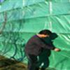 防寒绿布,新疆园林绿化防寒布质量,新疆防寒布价格