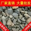 盐城黑色鹅卵石,生态水景鹅卵石卖家