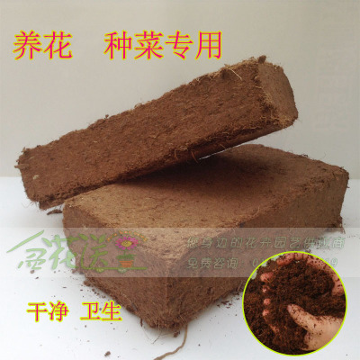 椰砖 基质 椰糠 种菜养花 铺垫 无菌 疏松透气 650克
