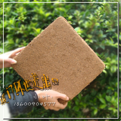 椰糠_椰土_椰砖_椰糠砖(厦门超低价促销)