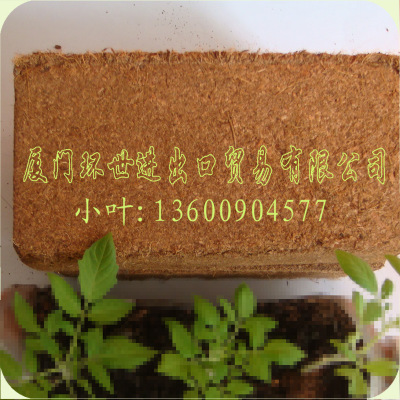 促销50块进口原装650g椰土/椰糠/椰砖/椰糠砖(淘宝销售必备)