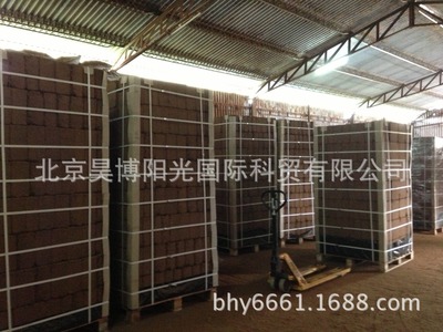 进口椰糠:水洗,种花种菜,多肉绿萝,营养土无土栽培特*5kg压缩