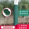 裹树布保温布保温带厂家 大树保温带保湿布价格
