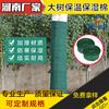 缠树带作用 园林用植物绷带 绿化植物绷带厂家批发