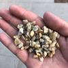 枯山水粒石覆盖物 黑色精品雨花石覆盖物 无机景观覆盖物