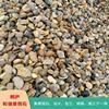 浙江天然风景石 地暖豆 滤料