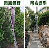 供应航空铝园林修剪三脚梯,果园采摘三脚梯,别墅绿化修剪三脚梯