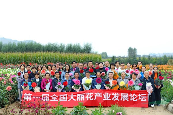与会代表调研大丽花生产基地 (1).jpg