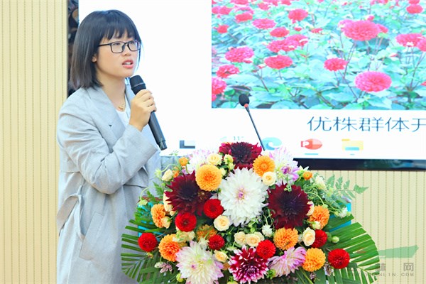 云南省农业科学院花卉研究所段青研究员.jpg