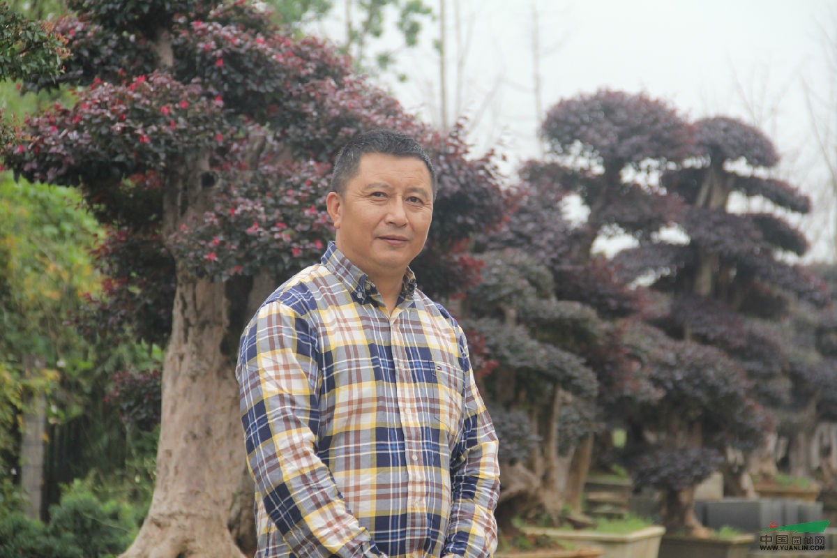 刘斯衷
